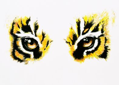 eye of the tiger