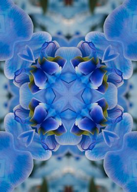 stylized blue pattern 