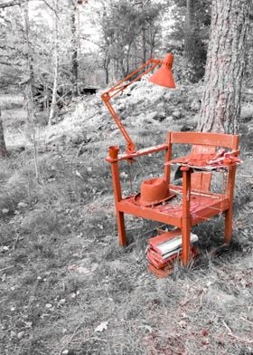 Red Chair in the Woods