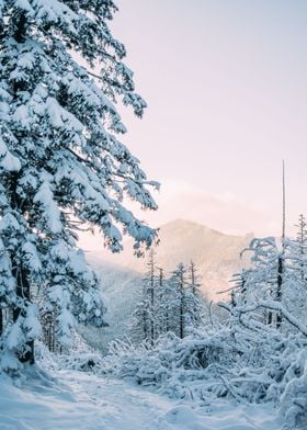 Sunset Winter Mountains