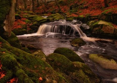 Cloughleagh Creeks