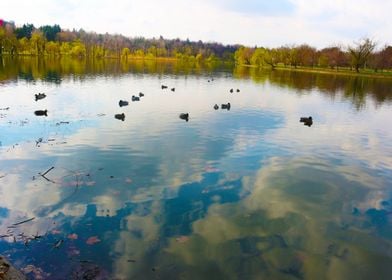 Reflection of the sky