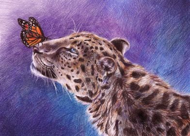 Leopard and Butterfly