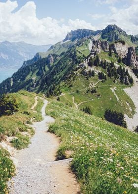 Alps Mountain Path