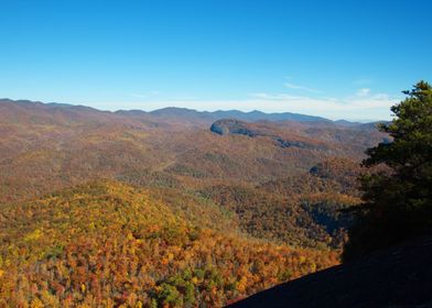 Pisgah Ridge NC