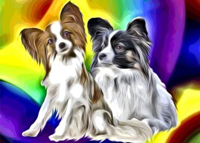 Papillon Rainbow