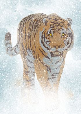 Tiger on the snow