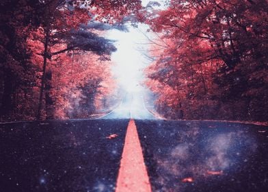 Autumn Roads