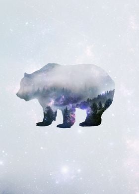 Space Bear