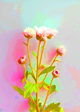 Wildflowers Pink