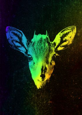 Antelope Colorful