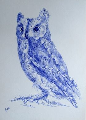 The owl