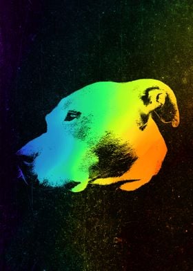 Argentine Dogo Colorful
