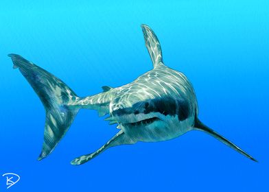 Great White Shark Painting