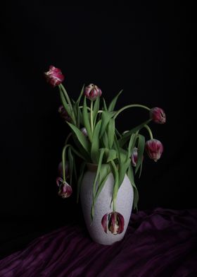 Dying tulips in vase 