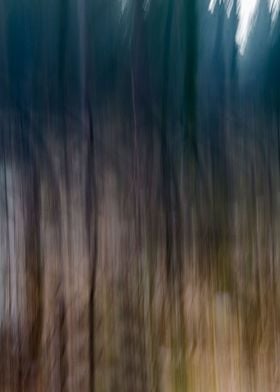 Abstract forest 