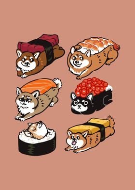 Sushi Shiba Inu