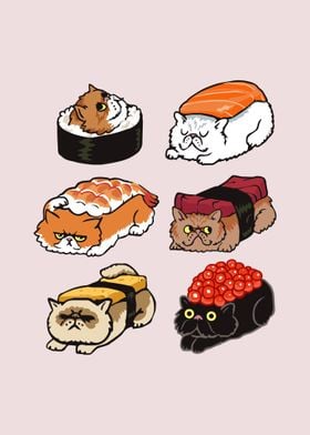 Sushi Persian Cat