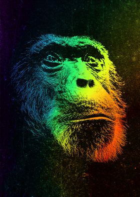 Ape Colorful