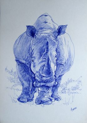 rhinoceros