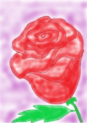 Red Rose