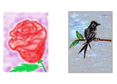 Rose and Black Maya Bird