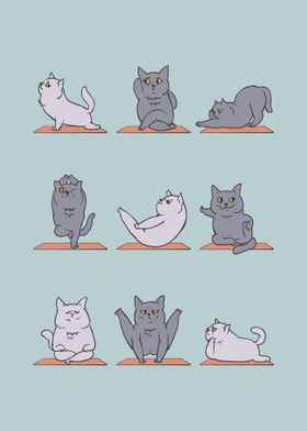 British Shorthair Cat Yoga