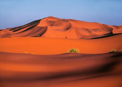 Red sand dunes and grass