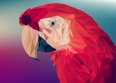 Abstract macaw