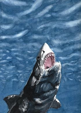 The Great White Shark