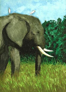 Elephant