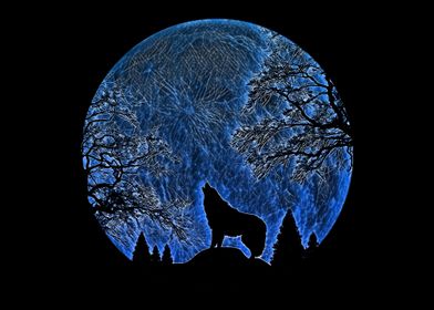 Wolf in Blue Moonlighting