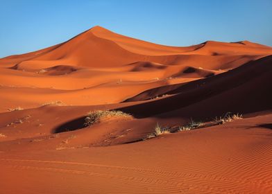 Red sand sahara dunes