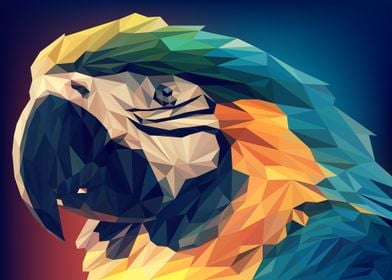 Abstract Macaw