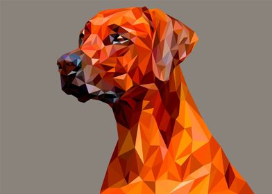 Dog Awesome Abstract