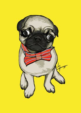 Pug with Bowtie