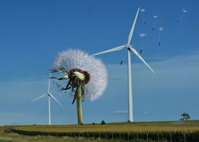 Wind Power