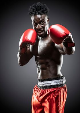 Black African Boxer