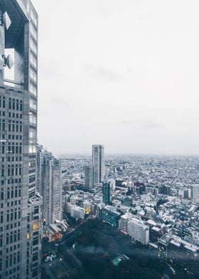 Rooftop View of Tokyo