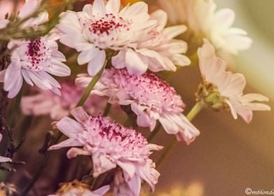 flower ornament