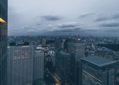 Tokyo Landscape 