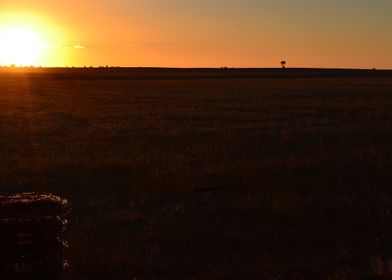 Sunset on the Farm