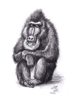 Mandrill