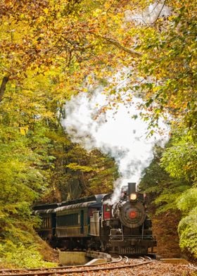 Autumn Steam Train