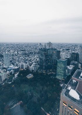 Metropolitan Tokyo 
