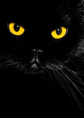 Yellow eyes