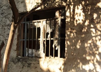 Ventana del abandono