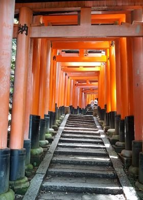 Ascending Torii