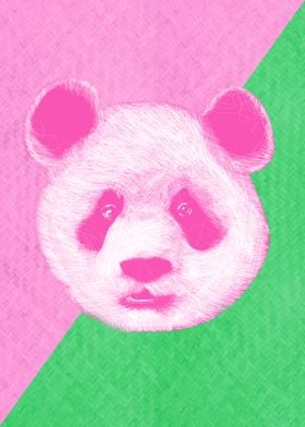 Panda Green Pink
