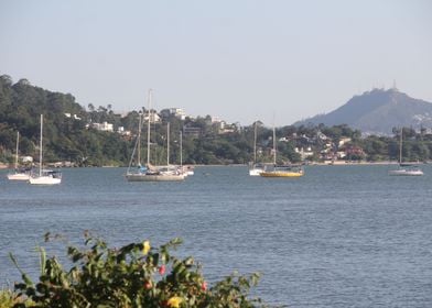 Boats in floripa 